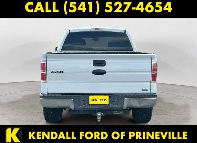 Used 2010 Ford F-150  4D SuperCrew – 1FTFW1EV2AFA90284 full